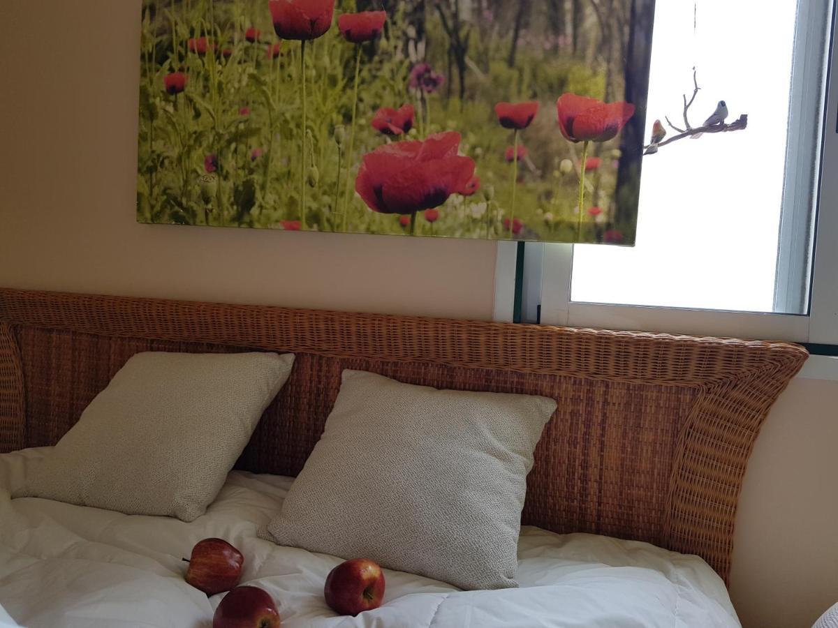 The Poppies Guest House - 100M Ocean - Private Spaces 칸델라리아 외부 사진